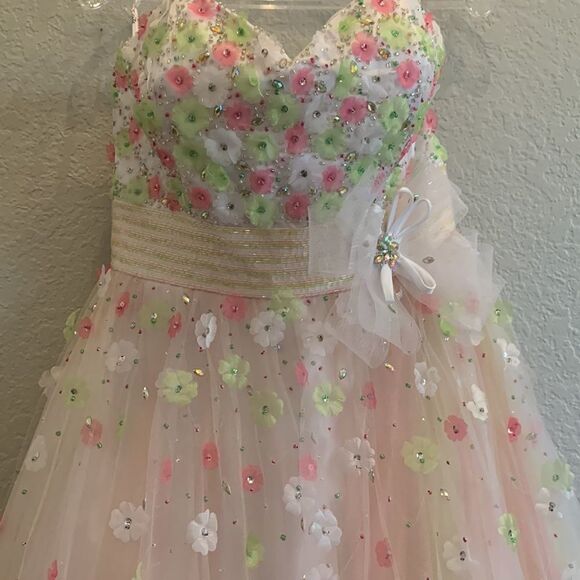 Pink and Green Ball Gown - Picture 2 of 10